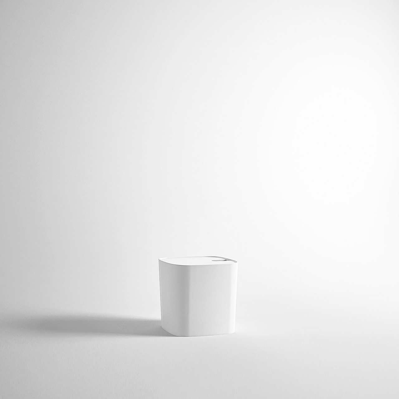 Cesto con alberello REXA Design