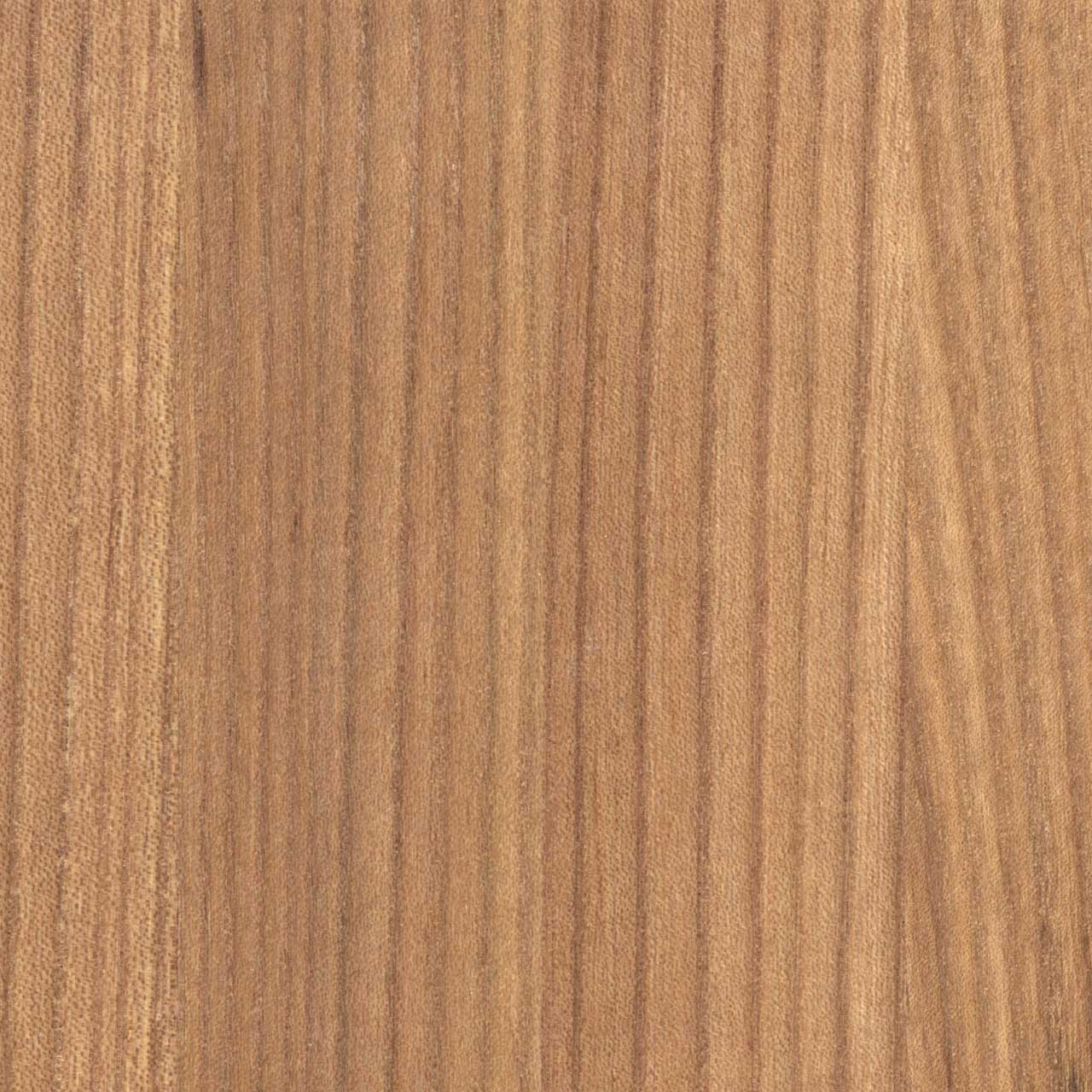 Frassino REXA Design