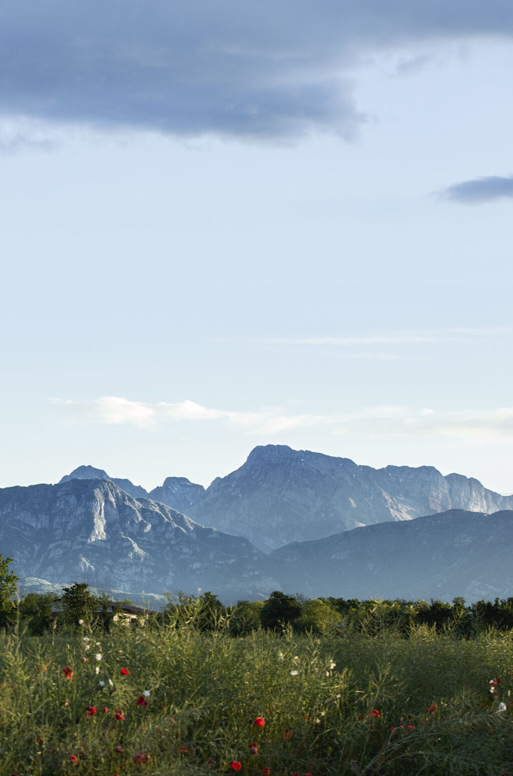 Headquarter REXA Design